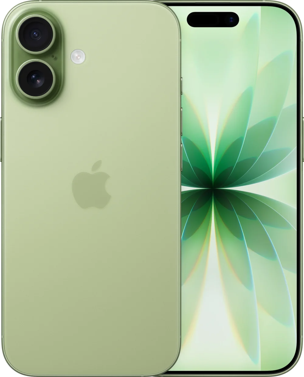 iphone17 Apple iPhone 17 (Sage, 256 GB)